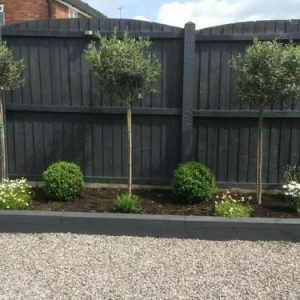 Paint for Wood Privacy Fence Cost Start at $1.8 Per Sq. Ft