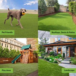 12 ft. W x Cut to Length Artificial Grass Turf