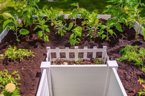 Vita Classic 6'L x 6'W x 22"H Vinyl Keyhole Composting Garden Bed - Image 4