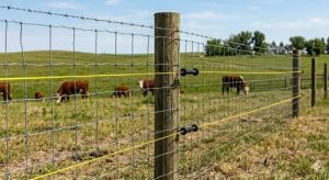 Farm Fence Installation – Woven Field Fence System